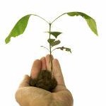 Gruendungsgeschehen-Oldenburg-Bremen